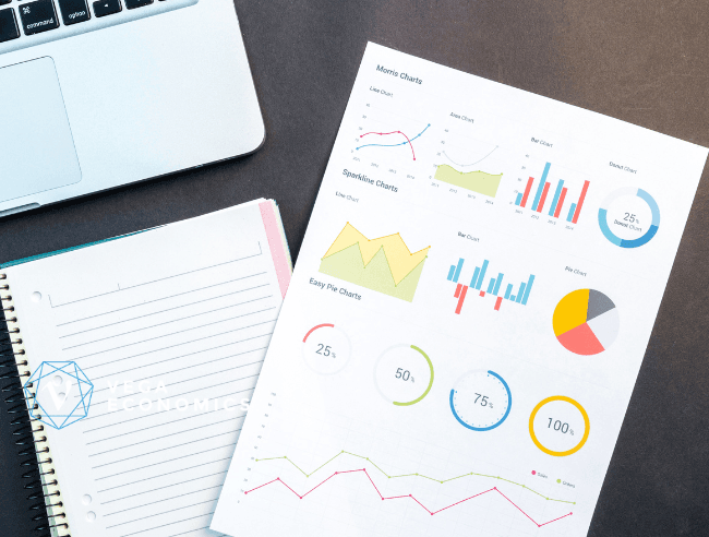 Survey Implementation and Administration Capacities